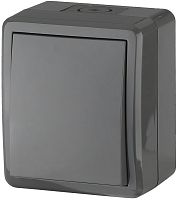 Переключатель накладной Эра Эксперт 1-кл. проходной IP54 серый Б0020674 картинка